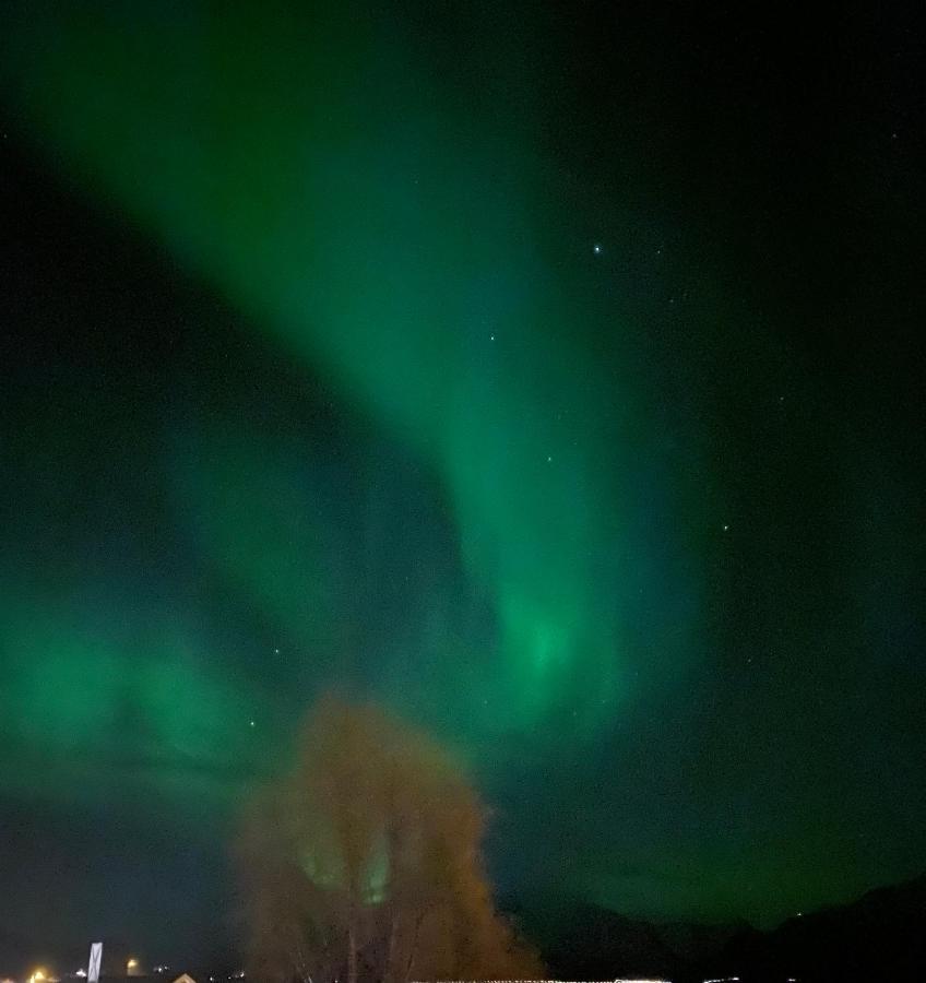 Lyngen, Mackay appartment, Lyngen Lyngseidet Exteriör bild