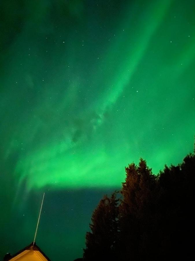 Lyngen, Mackay appartment, Lyngen Lyngseidet Exteriör bild