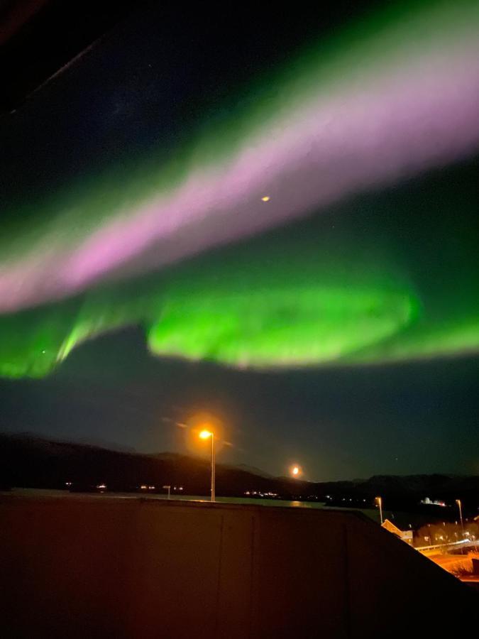 Lyngen, Mackay appartment, Lyngen Lyngseidet Exteriör bild