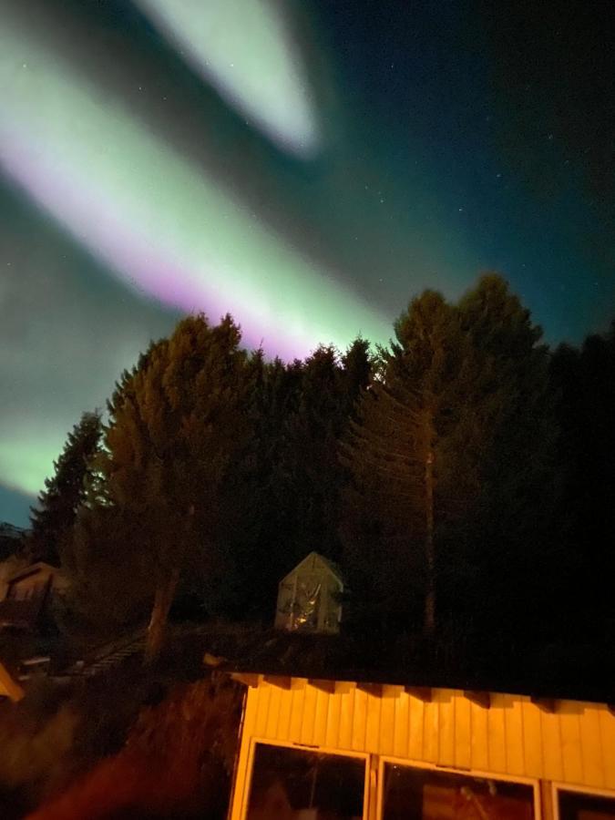 Lyngen, Mackay appartment, Lyngen Lyngseidet Exteriör bild